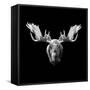 Moose Head-Lisa Kroll-Framed Stretched Canvas
