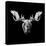 Moose Head-Lisa Kroll-Stretched Canvas