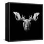 Moose Head-Lisa Kroll-Framed Stretched Canvas