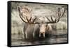 Moose Hot Springs-Danita Delimont-Framed Stretched Canvas