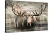 Moose Hot Springs-Danita Delimont-Stretched Canvas