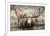 Moose Hot Springs-Danita Delimont-Framed Photo