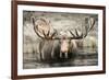 Moose Hot Springs-Danita Delimont-Framed Photo