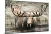 Moose Hot Springs-Danita Delimont-Mounted Photo