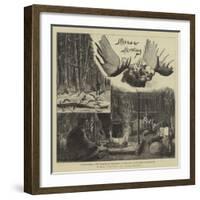 Moose Hunting in Nova Scotia-null-Framed Giclee Print