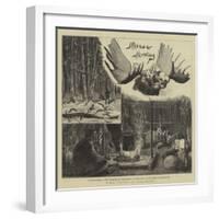 Moose Hunting in Nova Scotia-null-Framed Giclee Print