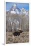 Moose in Field, Grand Teton, Teton Mountains, Grand Teton NP, WYoming-Howie Garber-Framed Photographic Print