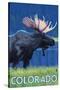 Moose in Moonlight - Colorado-Lantern Press-Stretched Canvas