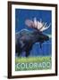 Moose in Moonlight - Colorado-Lantern Press-Framed Art Print