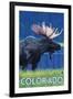 Moose in Moonlight - Colorado-Lantern Press-Framed Art Print