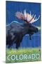 Moose in Moonlight - Colorado-Lantern Press-Mounted Art Print