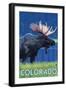 Moose in Moonlight - Colorado-Lantern Press-Framed Art Print