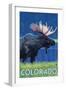 Moose in Moonlight - Colorado-Lantern Press-Framed Art Print