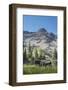 Moose in Uintah Wasatch Cache National Forest, Utah-Howie Garber-Framed Photographic Print