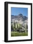 Moose in Uintah Wasatch Cache National Forest, Utah-Howie Garber-Framed Photographic Print