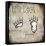 Moose Lodge 2 - Bear Tracks 2-LightBoxJournal-Framed Stretched Canvas