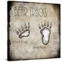 Moose Lodge 2 - Bear Tracks 2-LightBoxJournal-Stretched Canvas