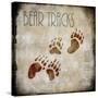 Moose Lodge 2 - Bear Tracks-LightBoxJournal-Stretched Canvas