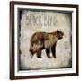 Moose Lodge 2 - Black Bear-LightBoxJournal-Framed Giclee Print