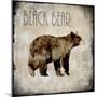 Moose Lodge 2 - Black Bear-LightBoxJournal-Mounted Giclee Print