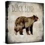 Moose Lodge 2 - Black Bear-LightBoxJournal-Stretched Canvas