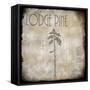 Moose Lodge 2 - Lodge Pole 3-LightBoxJournal-Framed Stretched Canvas