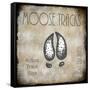 Moose Lodge 2 - Moose Tracks 2-LightBoxJournal-Framed Stretched Canvas