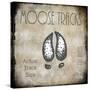 Moose Lodge 2 - Moose Tracks 2-LightBoxJournal-Stretched Canvas