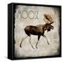 Moose Lodge 2-LightBoxJournal-Framed Stretched Canvas