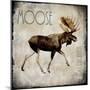 Moose Lodge 2-LightBoxJournal-Mounted Giclee Print