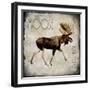 Moose Lodge 2-LightBoxJournal-Framed Giclee Print