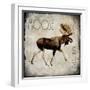 Moose Lodge 2-LightBoxJournal-Framed Giclee Print