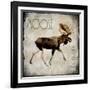 Moose Lodge 2-LightBoxJournal-Framed Giclee Print