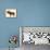 Moose Lodge Art-Joanne Paynter Design-Stretched Canvas displayed on a wall