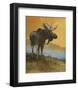 Moose Looking Back-Chris Vest-Framed Art Print