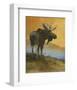 Moose Looking Back-Chris Vest-Framed Art Print