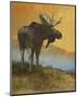 Moose Looking Back-Chris Vest-Mounted Art Print