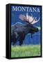 Moose, Montana-Lantern Press-Framed Stretched Canvas