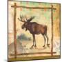 Moose Nature-Walter Robertson-Mounted Art Print