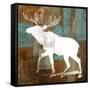 Moose on Abstract-Michael Marcon-Framed Stretched Canvas