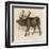 Moose or Elk-null-Framed Art Print