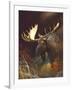 Moose Portrait-Leo Stans-Framed Art Print