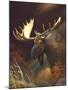 Moose Portrait-Leo Stans-Mounted Art Print