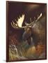 Moose Portrait-Leo Stans-Framed Art Print