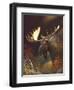 Moose Portrait-Leo Stans-Framed Art Print