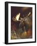Moose Portrait-Leo Stans-Framed Art Print