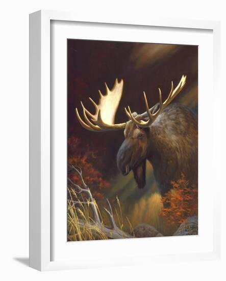 Moose Portrait-Leo Stans-Framed Art Print