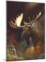 Moose Portrait-Leo Stans-Mounted Art Print