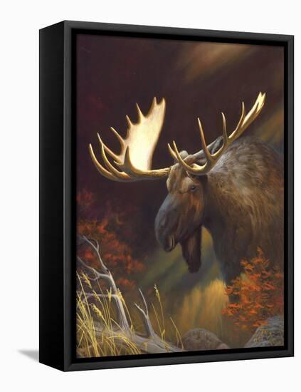 Moose Portrait-Leo Stans-Framed Stretched Canvas