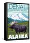 Moose Scene, Denali National Park, Alaska-Lantern Press-Framed Stretched Canvas